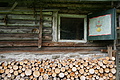 DSC06008 - Bernhard Saalfeld