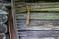DSC06009 - Bernhard Saalfeld