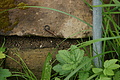 DSC06010 - Bernhard Saalfeld