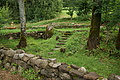 DSC06011 - Bernhard Saalfeld