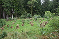 DSC06020 - Bernhard Saalfeld