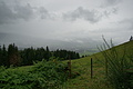 DSC06023 - Bernhard Saalfeld