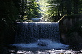 DSC06039 - Bernhard Saalfeld