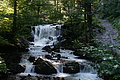 DSC06040 - Bernhard Saalfeld