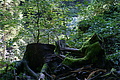 DSC06042 - Bernhard Saalfeld