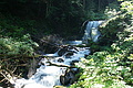 DSC06043 - Bernhard Saalfeld