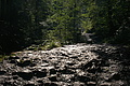DSC06044 - Bernhard Saalfeld