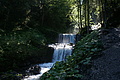 DSC06046 - Bernhard Saalfeld