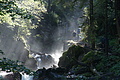 DSC06049 - Bernhard Saalfeld