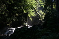 DSC06050 - Bernhard Saalfeld