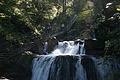 DSC06053 - Bernhard Saalfeld