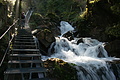 DSC06054 - Bernhard Saalfeld