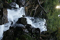 DSC06056 - Bernhard Saalfeld