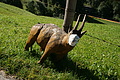 DSC06065 - Bernhard Saalfeld
