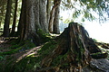 DSC06072 - Bernhard Saalfeld