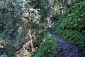 DSC06078 - Bernhard Saalfeld