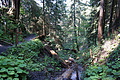 DSC06079 - Bernhard Saalfeld