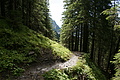 DSC06104 - Bernhard Saalfeld