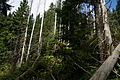 DSC06105 - Bernhard Saalfeld
