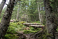 DSC06106 - Bernhard Saalfeld