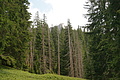 DSC06107 - Bernhard Saalfeld