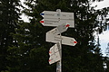 DSC06108 - Bernhard Saalfeld