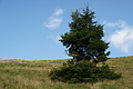 DSC06109 - Bernhard Saalfeld