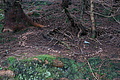 DSC06140 - Bernhard Saalfeld