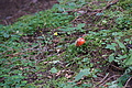 DSC06141 - Bernhard Saalfeld