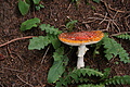 DSC06142 - Bernhard Saalfeld