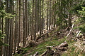 DSC06144 - Bernhard Saalfeld
