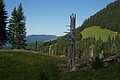 DSC06159 - Bernhard Saalfeld