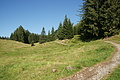 DSC06160 - Bernhard Saalfeld