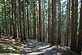 DSC06162 - Bernhard Saalfeld