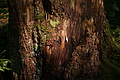 DSC06172 - Bernhard Saalfeld
