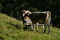 DSC06178 - Bernhard Saalfeld