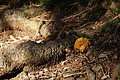 DSC06179 - Bernhard Saalfeld