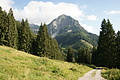 DSC06181 - Bernhard Saalfeld