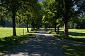 DSC06199 - Bernhard Saalfeld