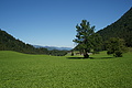 DSC06203 - Bernhard Saalfeld
