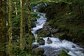 DSC06206 - Bernhard Saalfeld