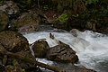 DSC06208 - Bernhard Saalfeld