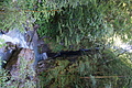 DSC06209 - Bernhard Saalfeld