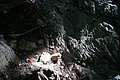 DSC06210 - Bernhard Saalfeld