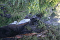 DSC06211 - Bernhard Saalfeld
