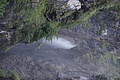 DSC06213 - Bernhard Saalfeld