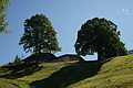 DSC06226 - Bernhard Saalfeld