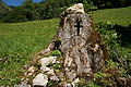 DSC06241 - Bernhard Saalfeld