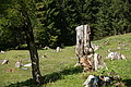 DSC06248 - Bernhard Saalfeld