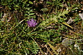 DSC06250 - Bernhard Saalfeld
